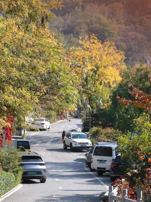 美翻！黄亦玫驰骋的京郊公路又迎“高光”时刻——