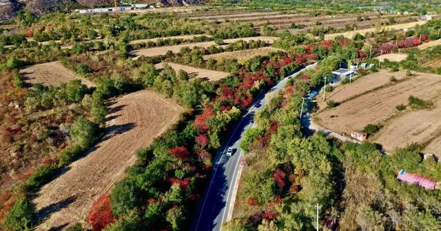 美翻！黄亦玫驰骋的京郊公路又迎“高光”时刻——