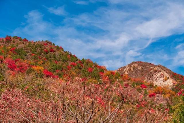 美翻！黄亦玫驰骋的京郊公路又迎“高光”时刻——