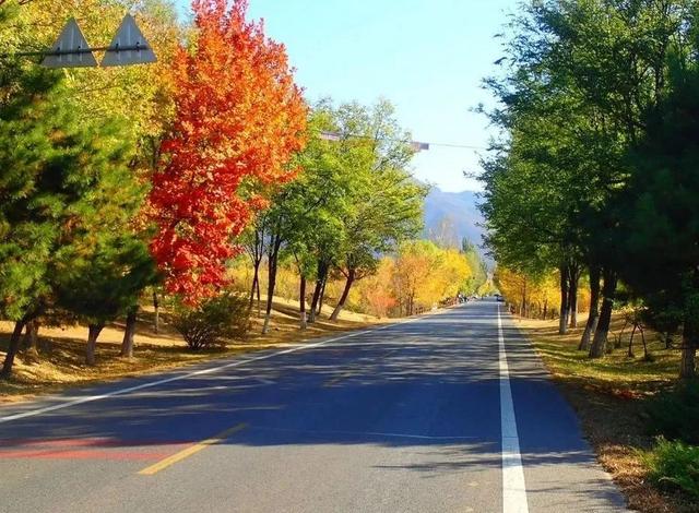 美翻！黄亦玫驰骋的京郊公路又迎“高光”时刻——