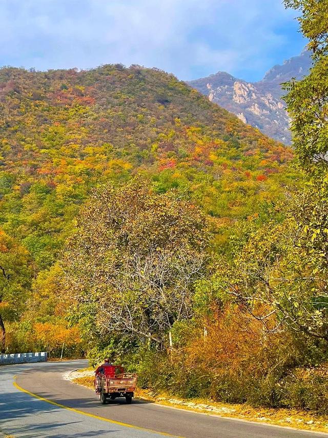 美翻！黄亦玫驰骋的京郊公路又迎“高光”时刻——