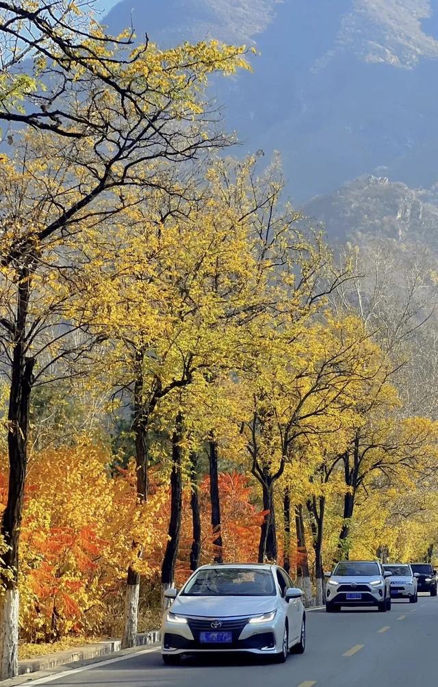 美翻！黄亦玫驰骋的京郊公路又迎“高光”时刻——