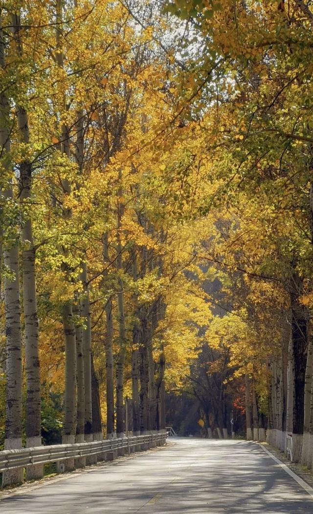 美翻！黄亦玫驰骋的京郊公路又迎“高光”时刻——