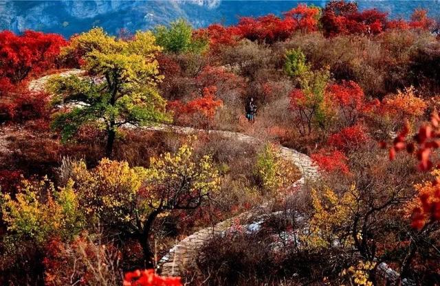 美翻！黄亦玫驰骋的京郊公路又迎“高光”时刻——