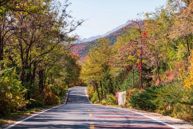 美翻！黄亦玫驰骋的京郊公路又迎“高光”时刻——