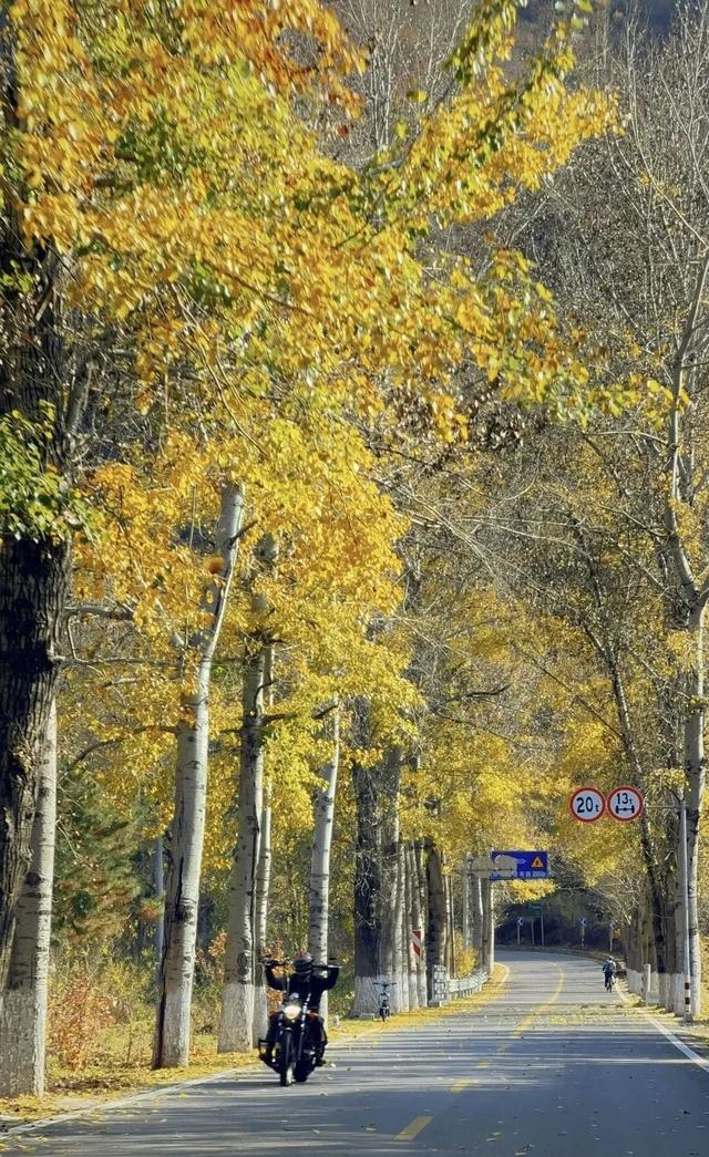 美翻！黄亦玫驰骋的京郊公路又迎“高光”时刻——