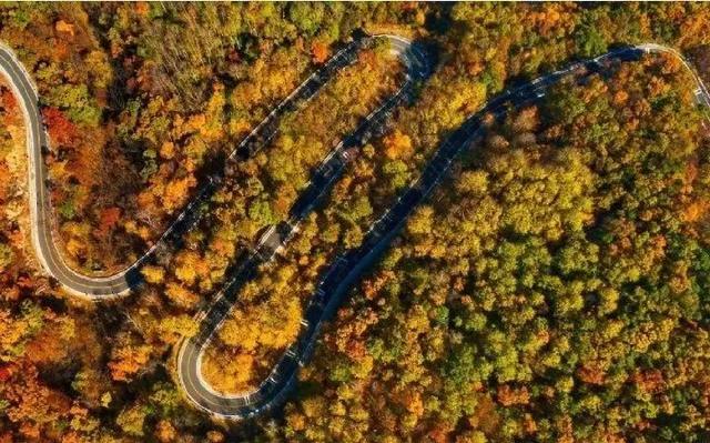 美翻！黄亦玫驰骋的京郊公路又迎“高光”时刻——