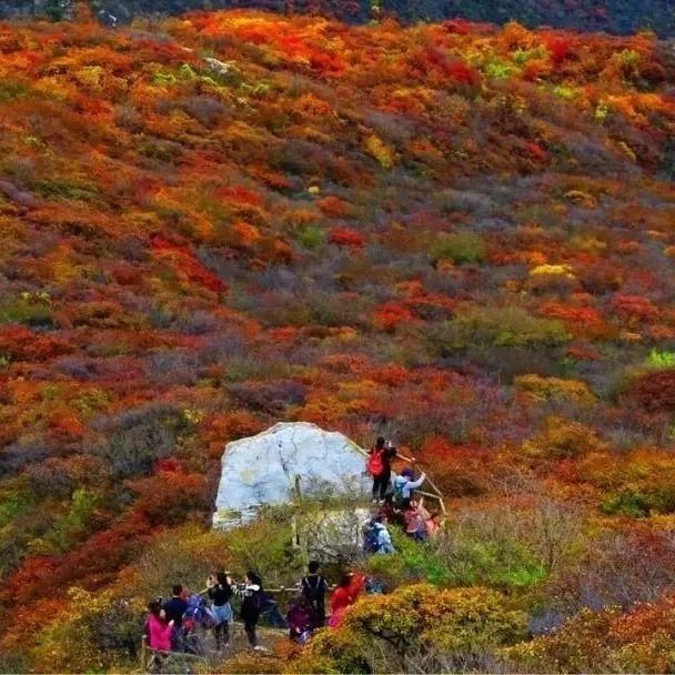 美翻！黄亦玫驰骋的京郊公路又迎“高光”时刻——