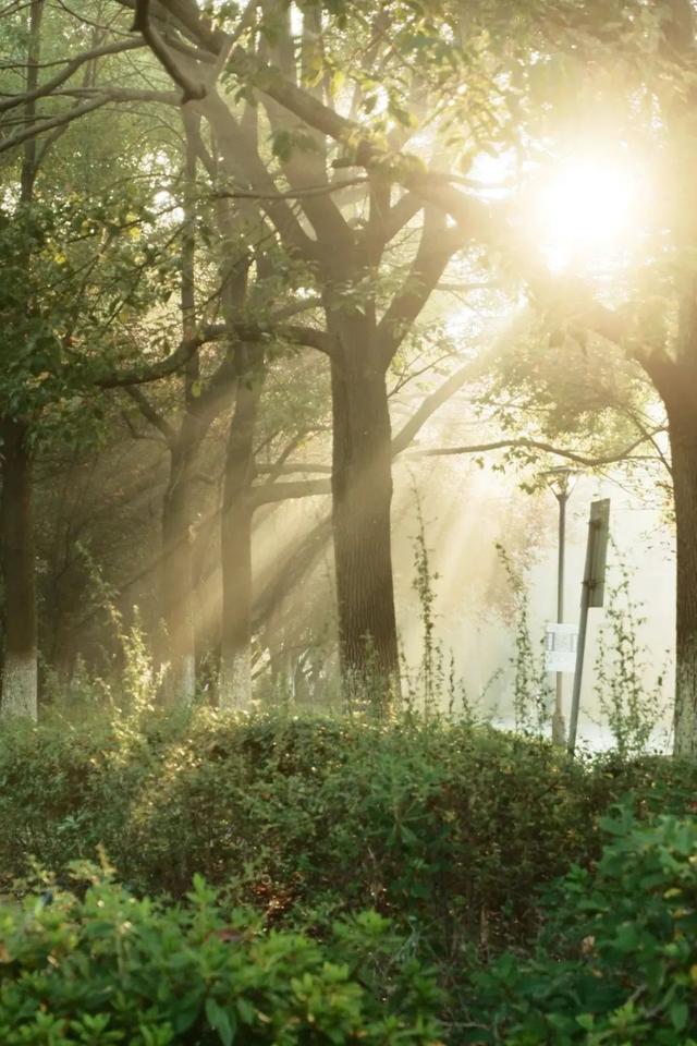 我十岁啦！（有心动福袋，快冲！）