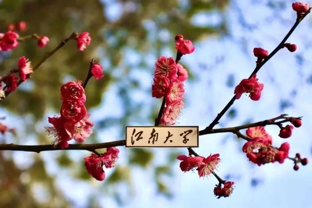 我十岁啦！（有心动福袋，快冲！）