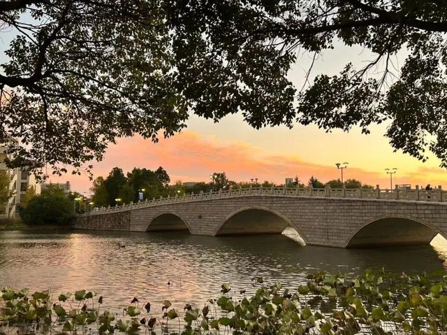 我十岁啦！（有心动福袋，快冲！）