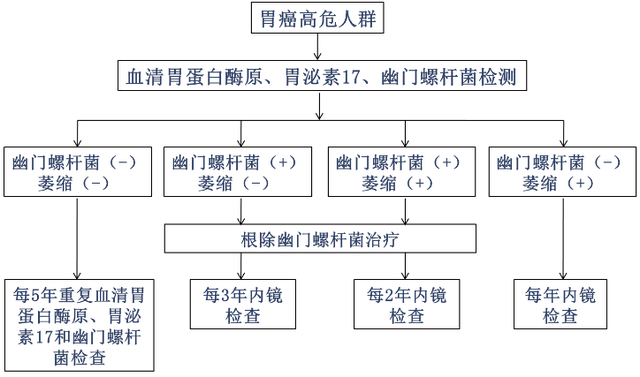 【汤医新技术】“胃功能七项检测”:精准筛查胃癌高危人群