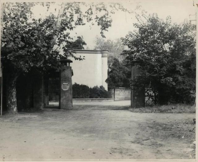 看！我们这20年