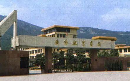 看！我们这20年