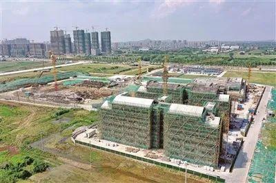 看！我们这20年