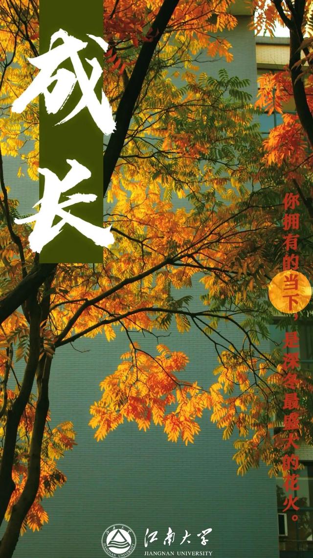 如果，这都不算爱……