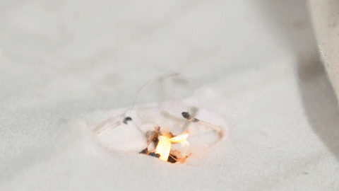 800℃ 谁的被窝能禁住“烤”验？