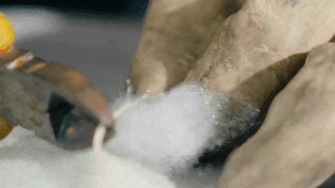 800℃ 谁的被窝能禁住“烤”验？