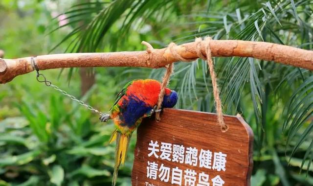 罕见！“铁树”开花！北京治愈系“植物王国”，入眼即风景——