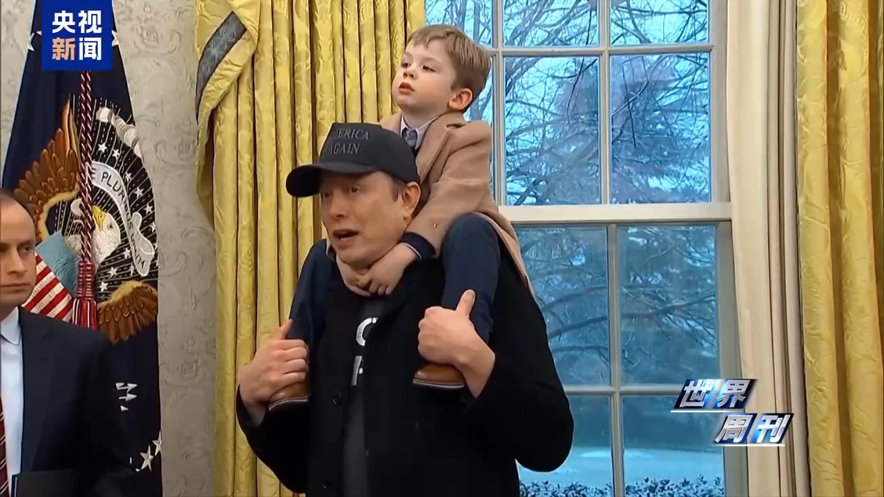 马斯克之刀”横扫美国联邦政府,真能“刀到病除”吗？