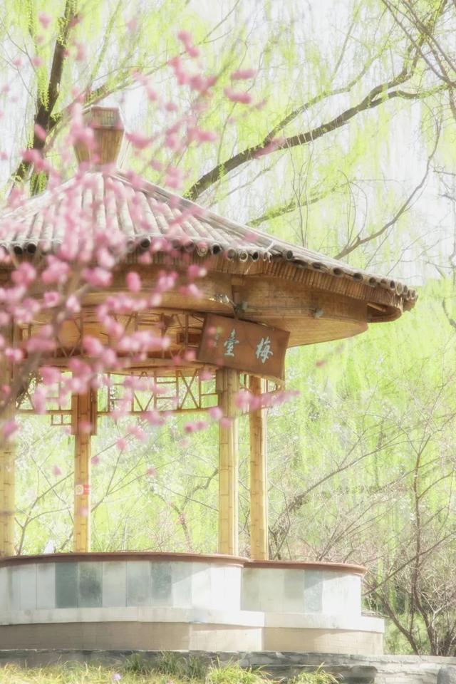 期待！北京的春夏和____ 超搭，承包你半年的旅游计划！