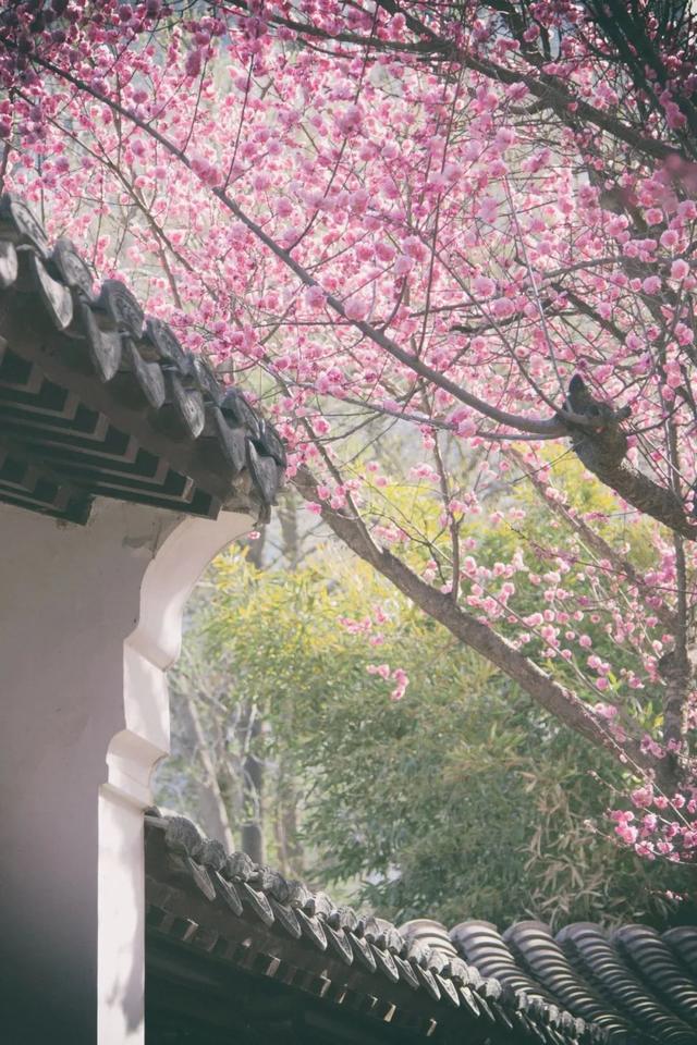 期待！北京的春夏和____ 超搭，承包你半年的旅游计划！