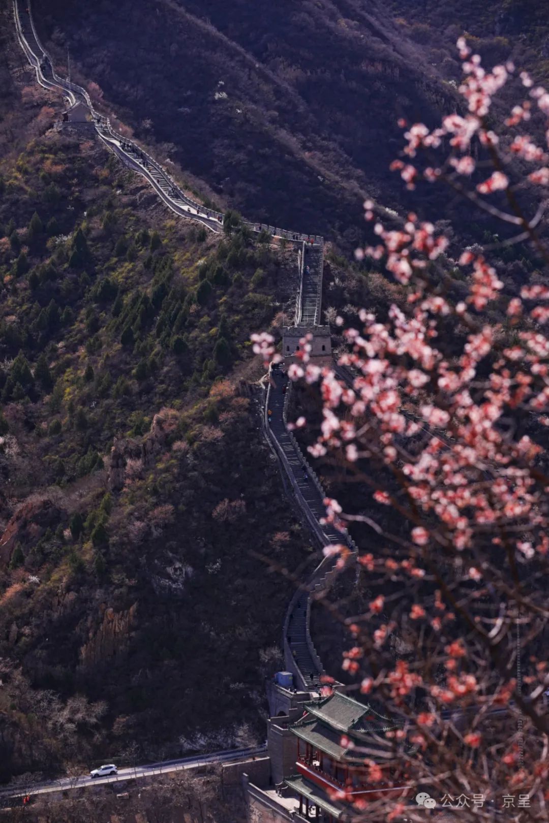 京城拍客 | 最美海棠花溪