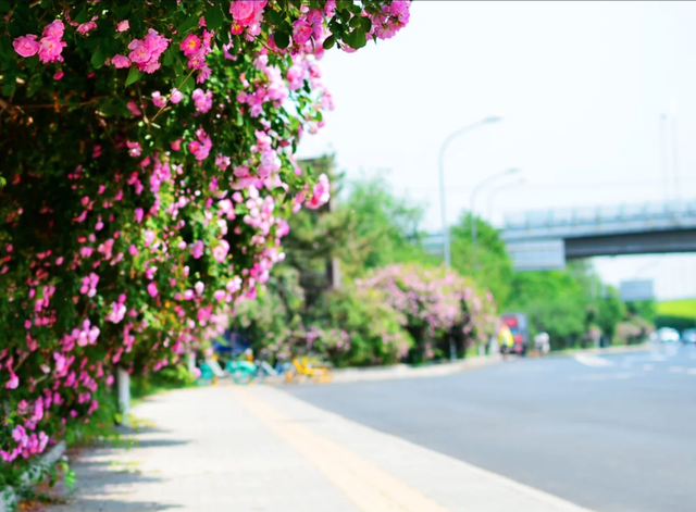 681a1b25d5de53c6a1a179f3.png