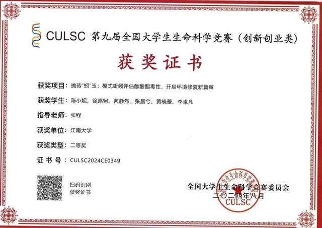 工科“玫瑰”，升学就业，轻松“拿捏”！！