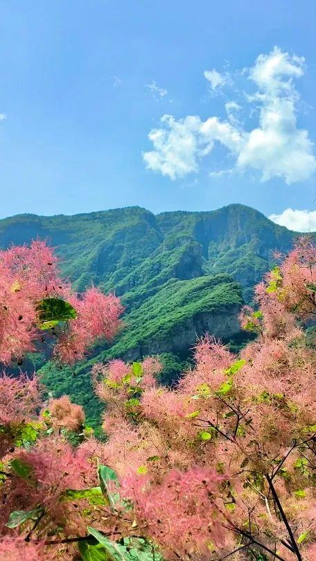 即将开启！行走山脊，观八百里太行！游大美房山！这徒步太酷了——
