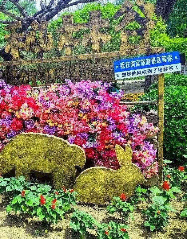 嗨翻！端午六一畅玩丰台“全攻略”来了——