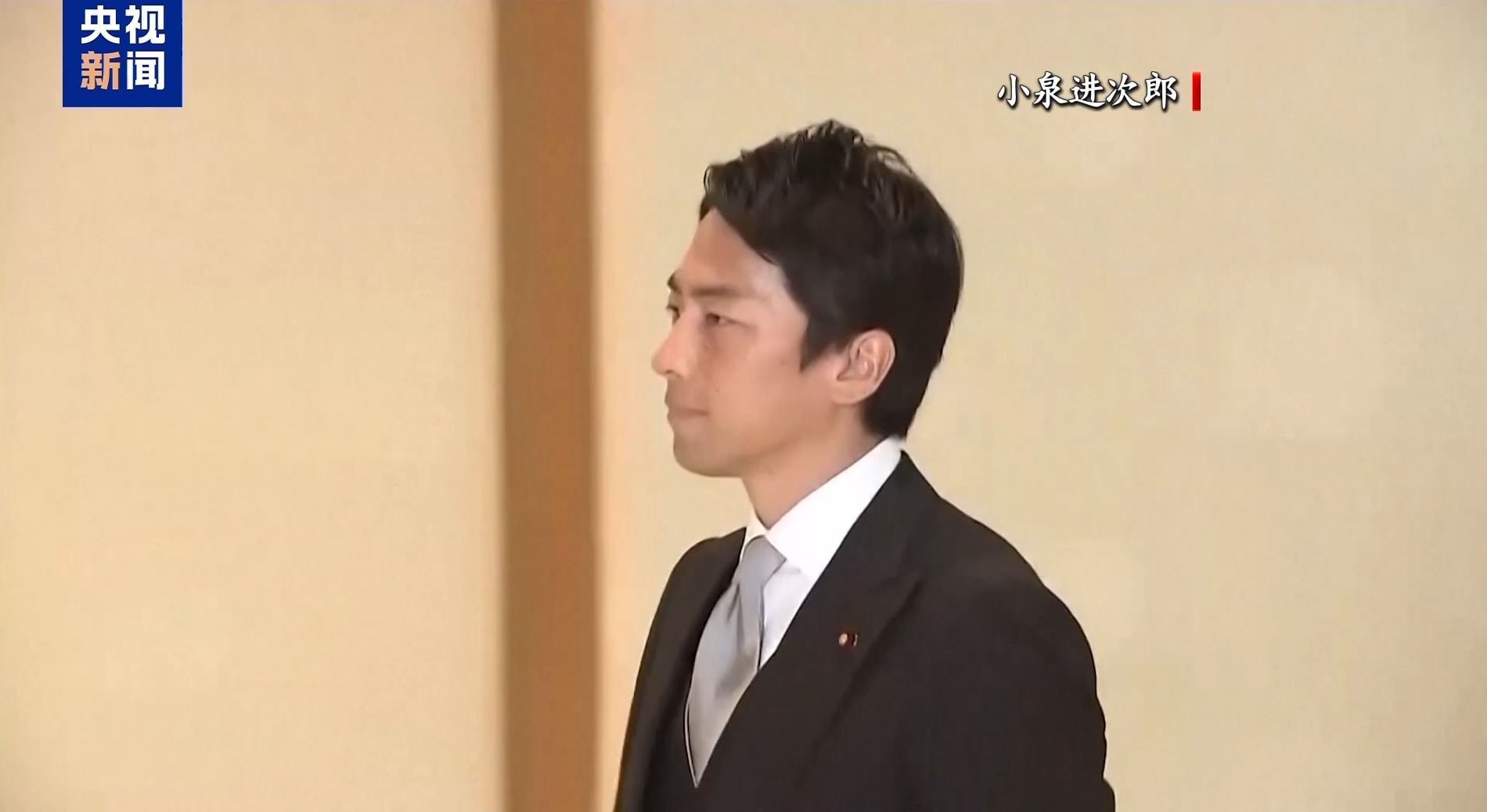 石破茂辞职，4人最有望接替，自民党新总裁将面临2大难题