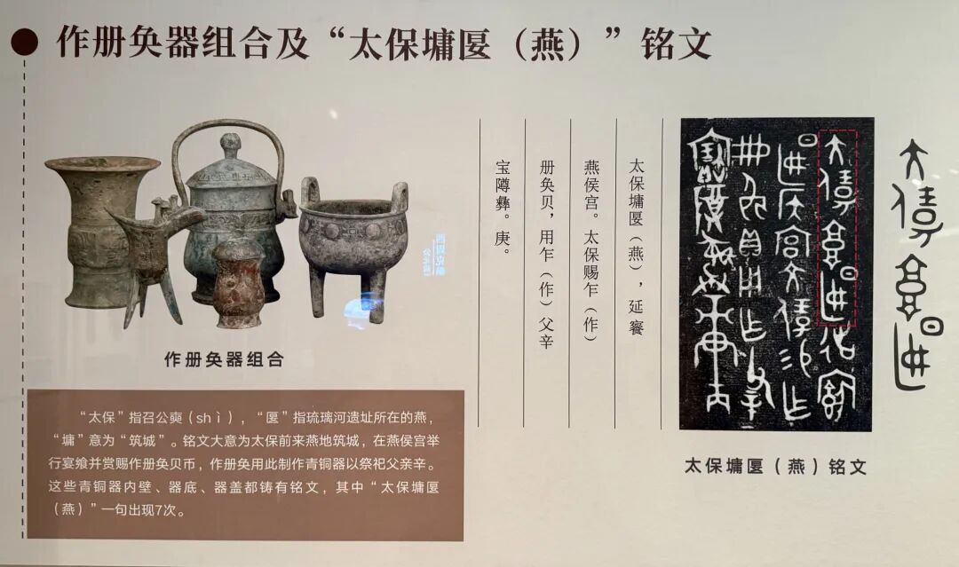 穿越三千年的“召公粟” 迎来丰收好时节