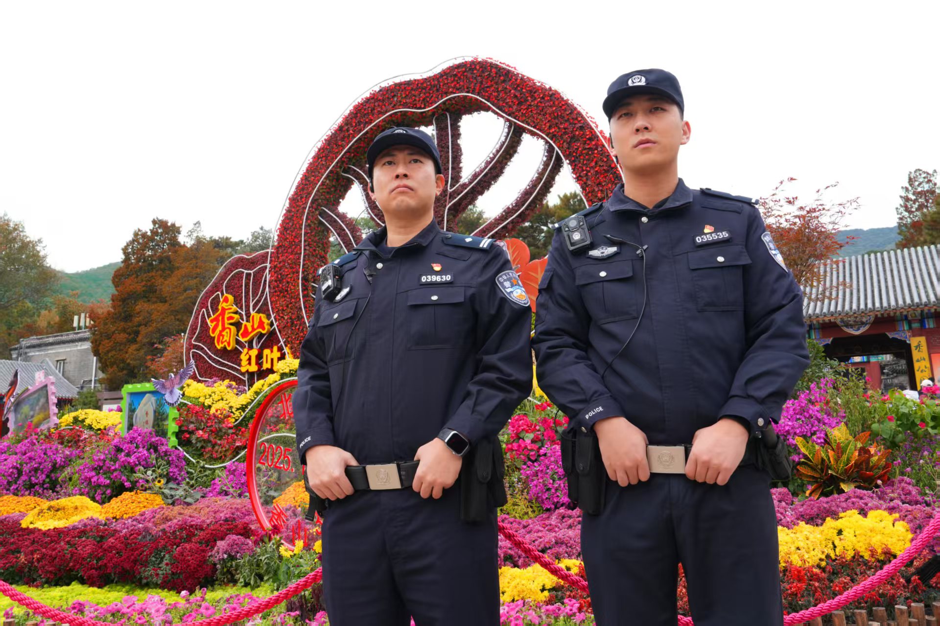 彩叶观赏季临近尾声，北京海淀公安平安守护“不打烊”