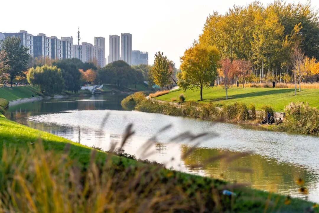 坝河,用金奖回答城市与自然——