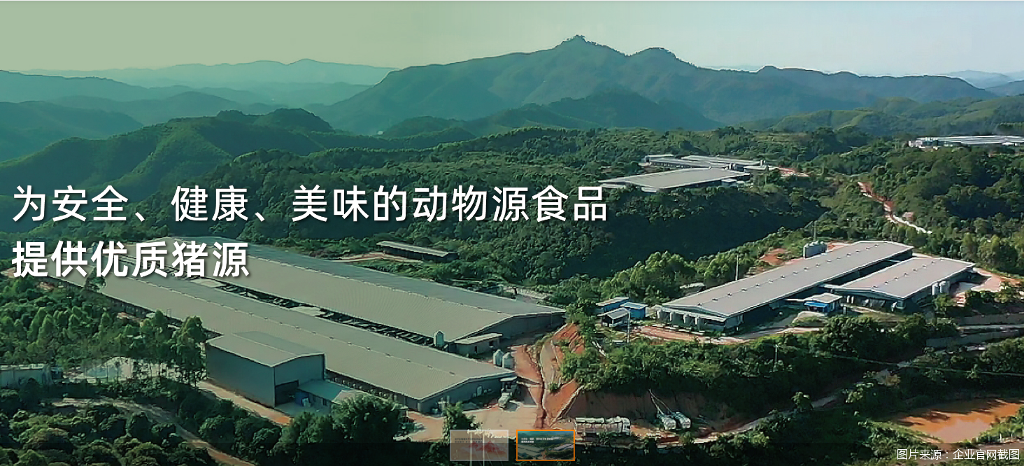 图片来源：企业官网截图