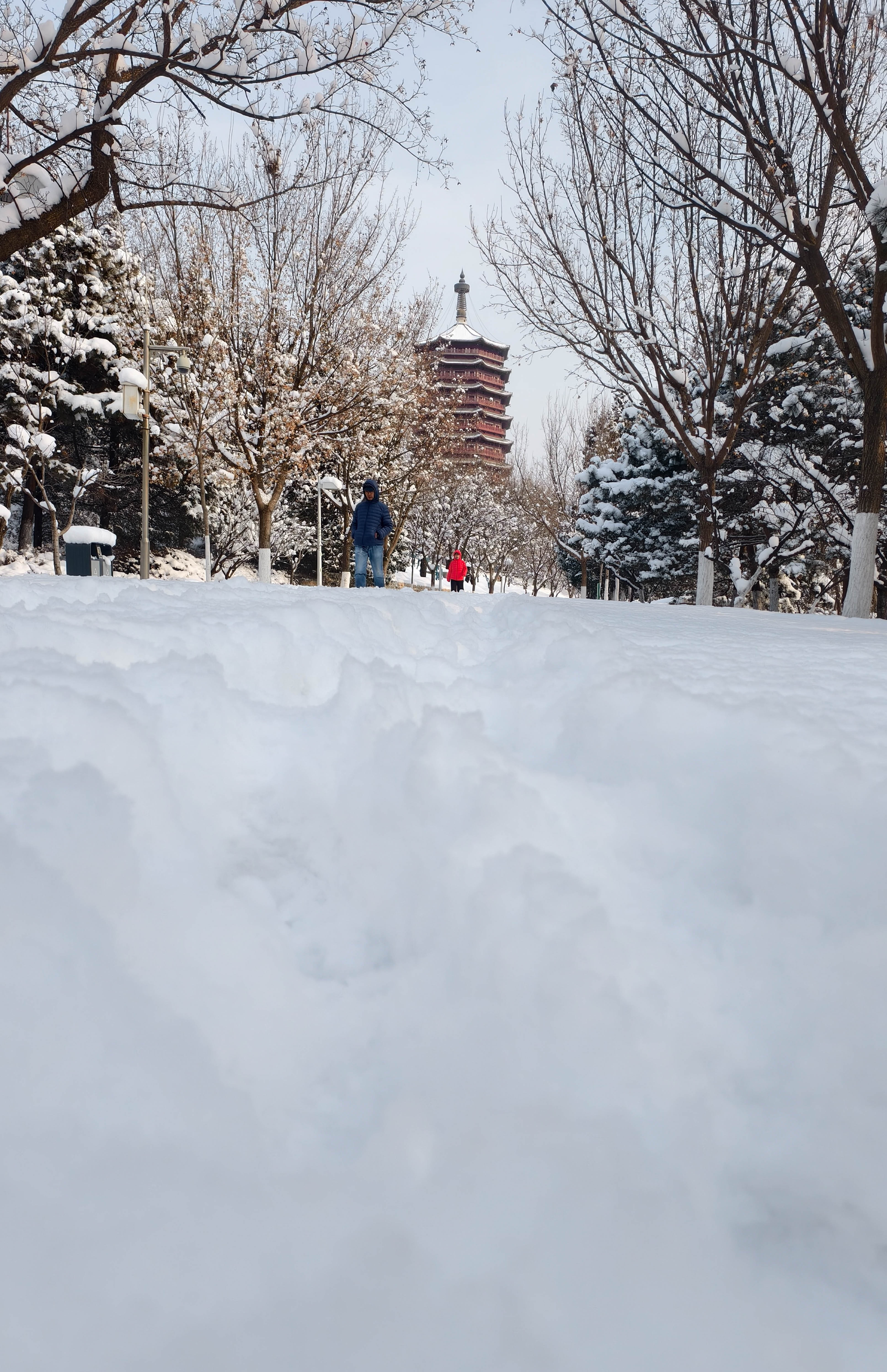 雪后永定河两岸上演“冰与雪的童话”4