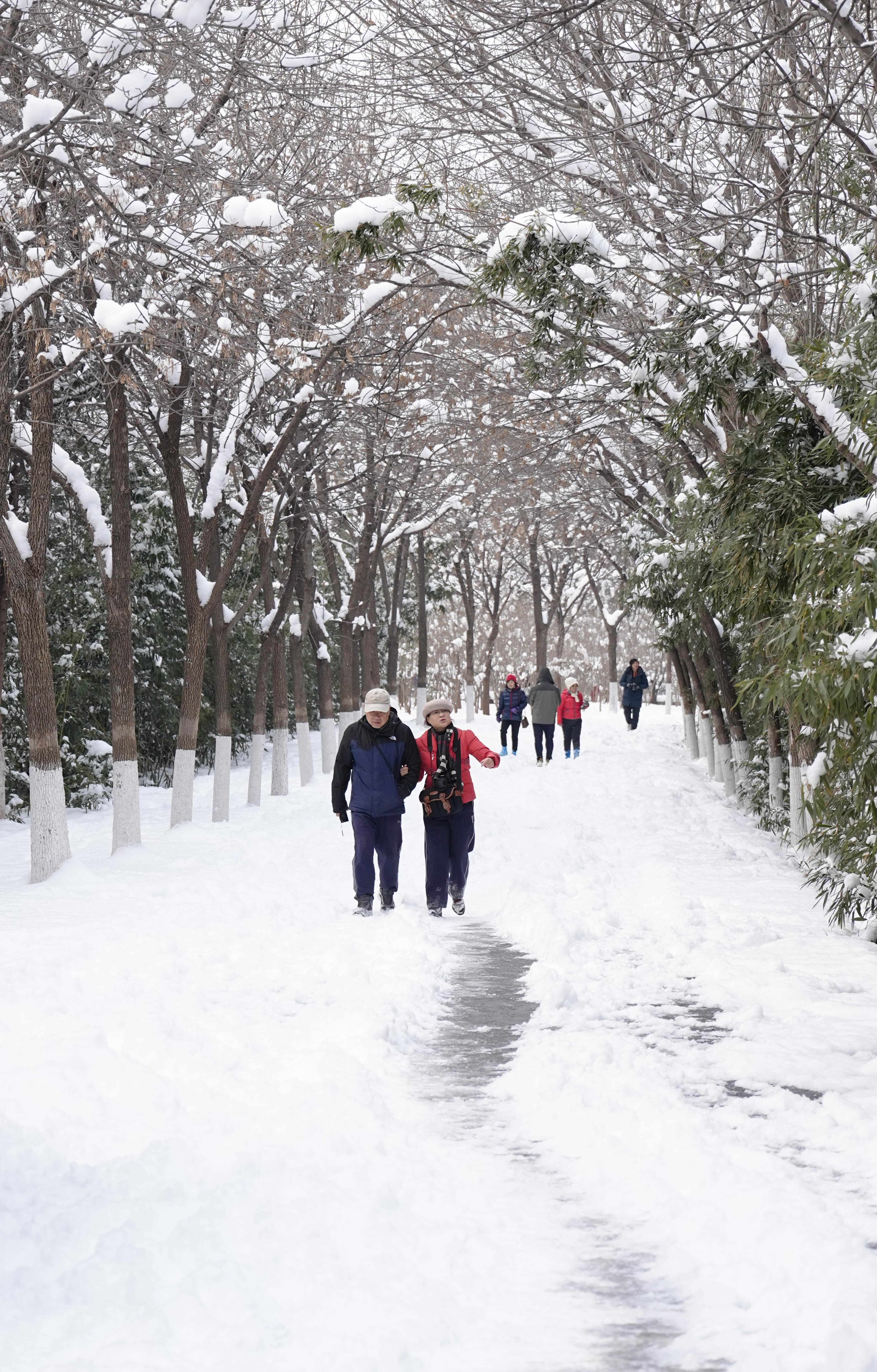 雪后永定河两岸上演“冰与雪的童话”3