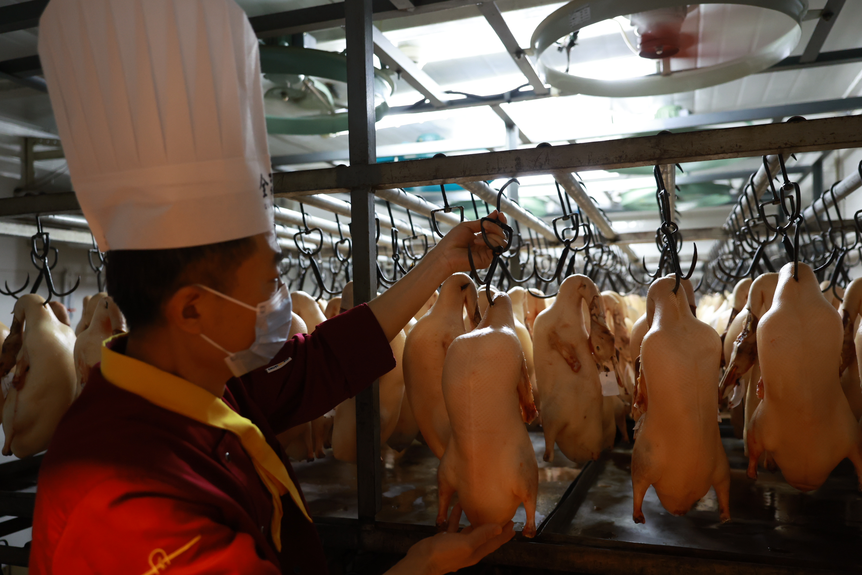 cym260219老字号节日不打烊6