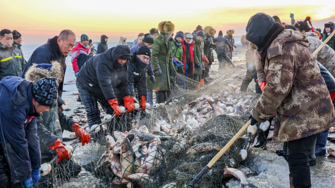 查干湖冬捕现场“冰湖腾鱼”盛景。（吉林日报记者 王学雷 摄）.jpg