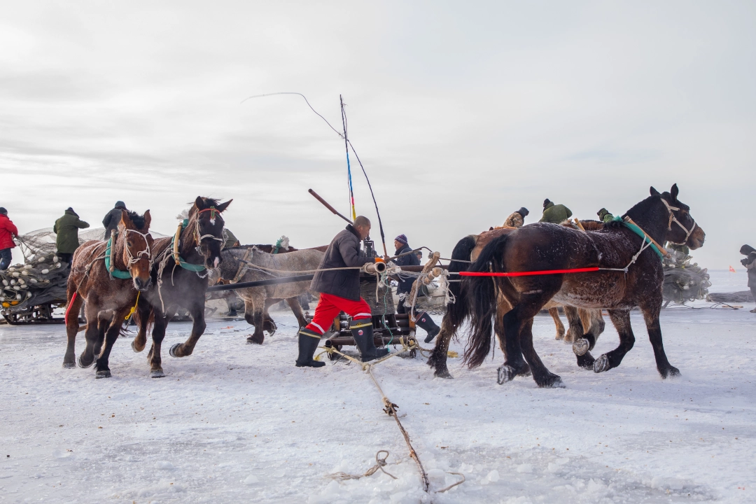 查干湖冬捕现场马拉绞盘。（吉林日报记者 王学雷 摄）.jpg