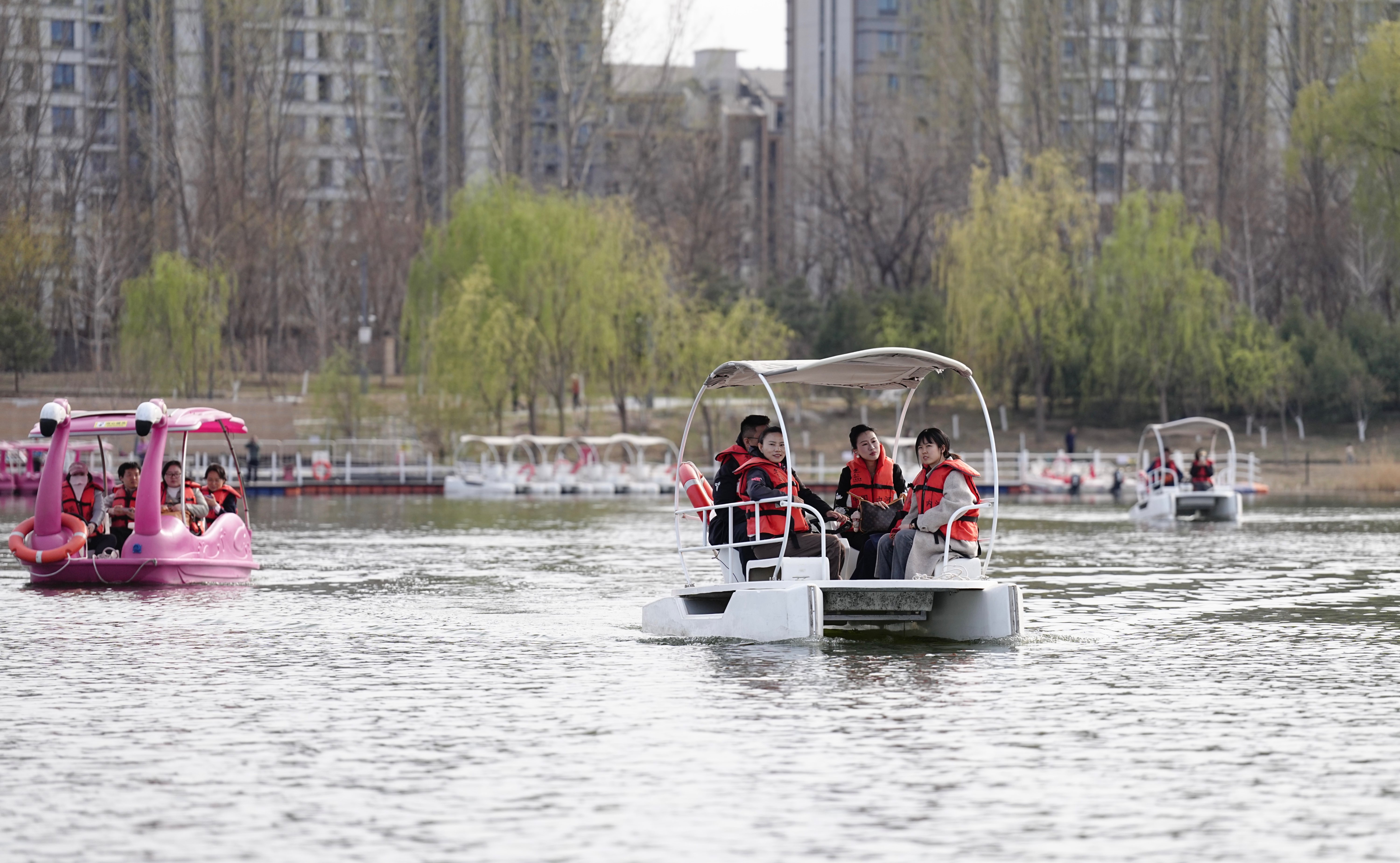 春日到丰台看“一路繁花”！这两份赏花路线、观鸟走廊地图请收好！南森春景美如画7