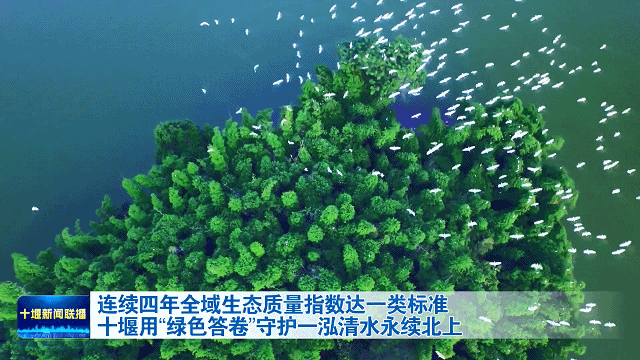 十堰用“绿色答卷”守护一泓清水永续北上20264111846271