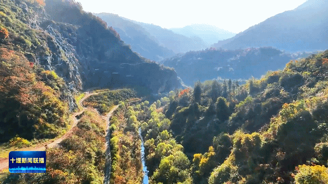 十堰用“绿色答卷”守护一泓清水永续北上20264111849502