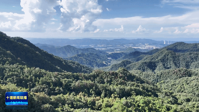 十堰用“绿色答卷”守护一泓清水永续北上20264111855225