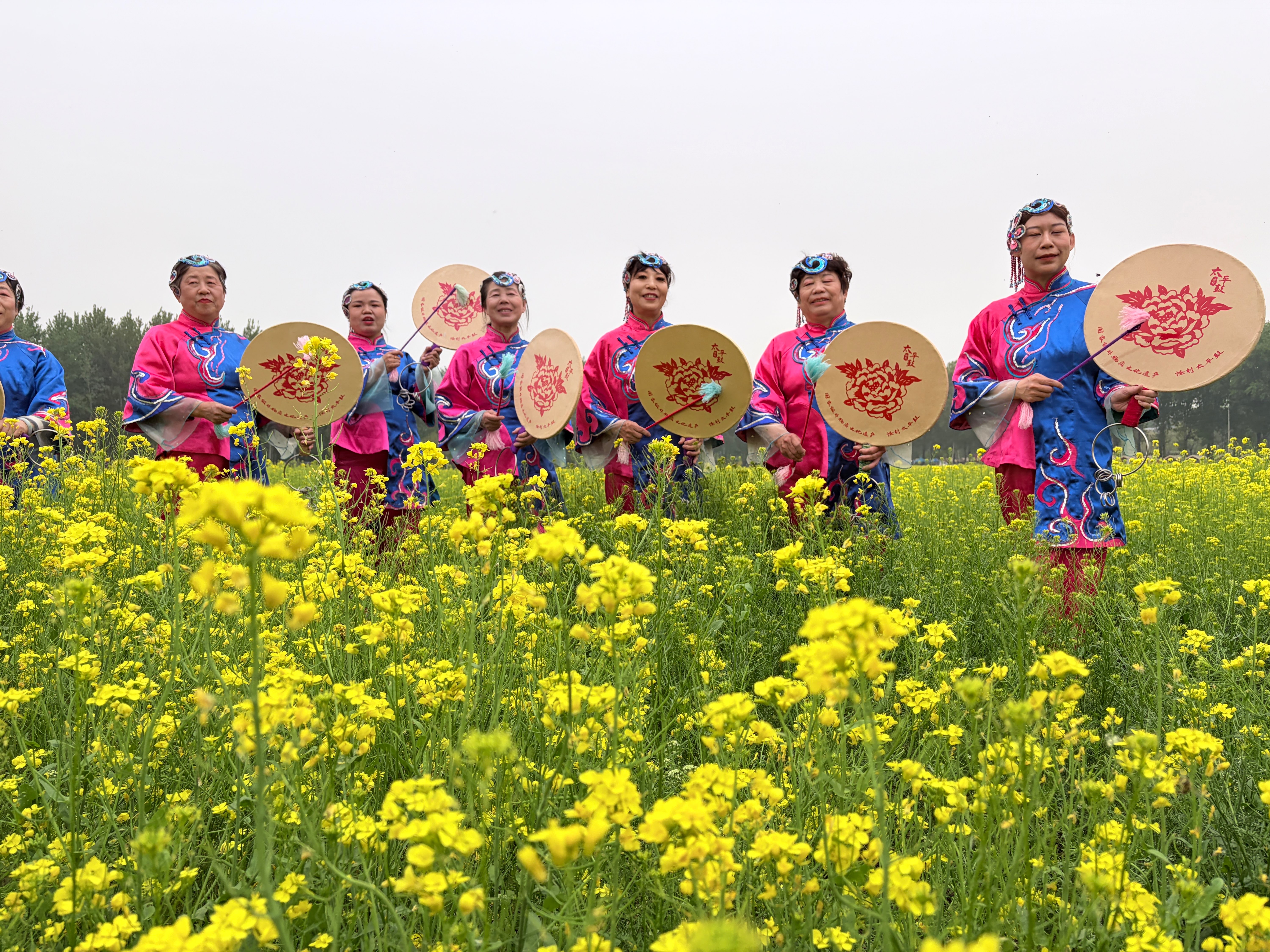 非遗花海相映成趣 丰台怪村赏“京西小婺源”油菜花海8