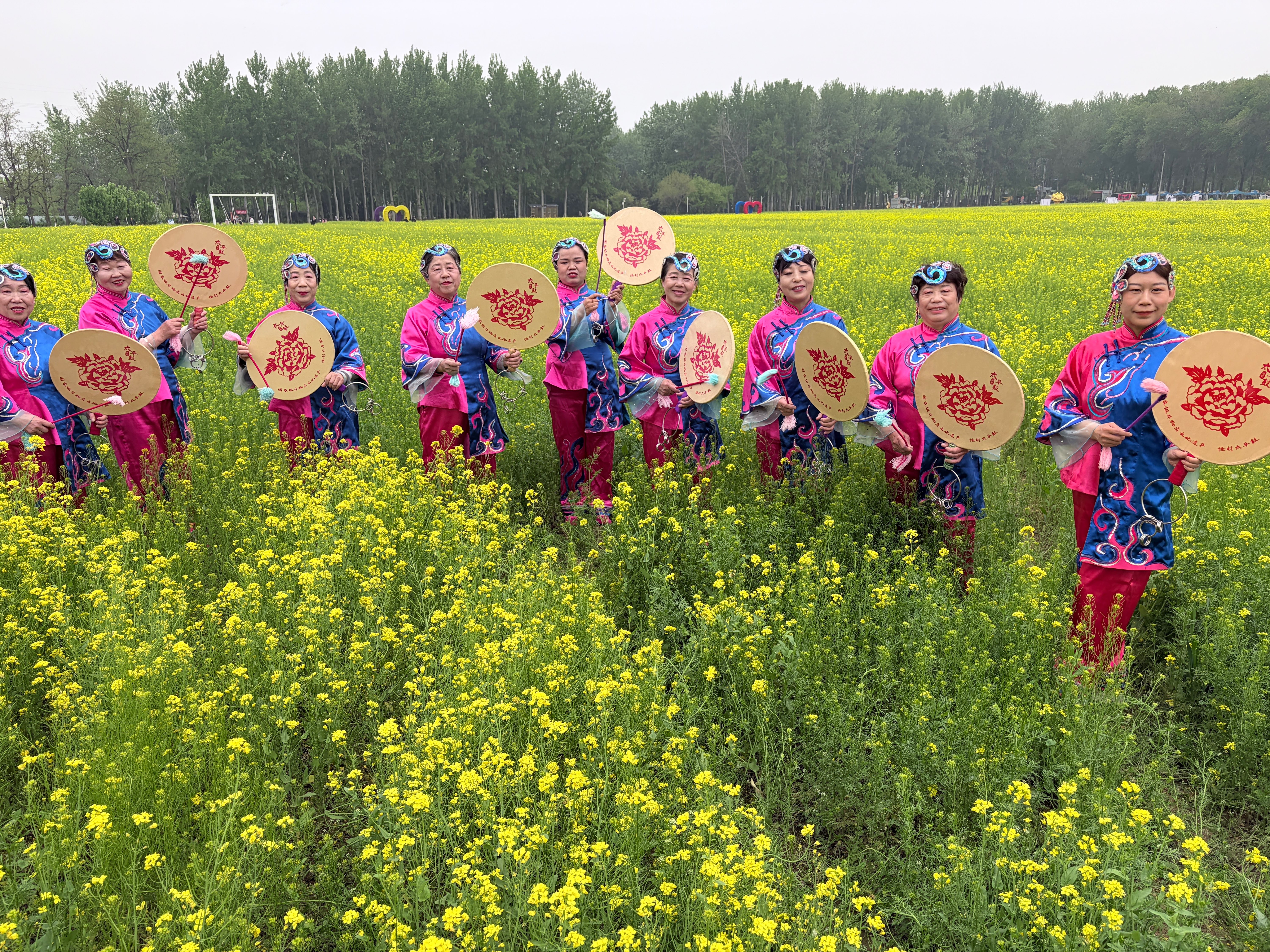 非遗花海相映成趣 丰台怪村赏“京西小婺源”油菜花海5