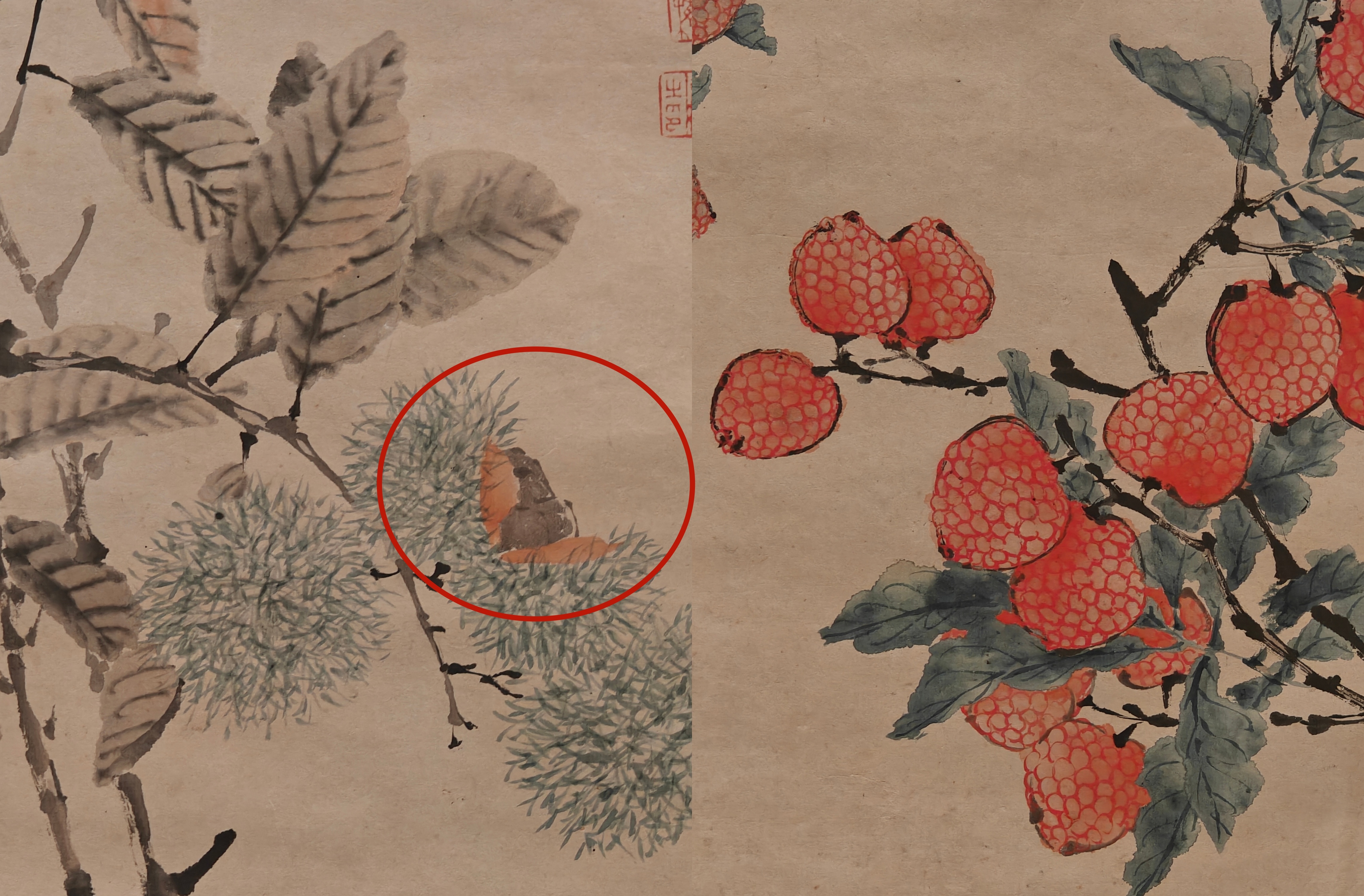 荔枝正大量上市 看看古画里的大吉大“荔”