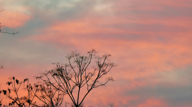 12月第一天北京橘粉烈焰晚霞，你拍到了吗？下下下下下周就2025了！