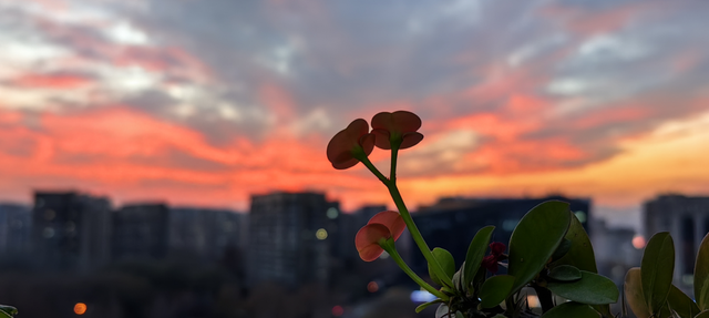 12月第一天北京橘粉烈焰晚霞，你拍到了吗？下下下下下周就2025了！